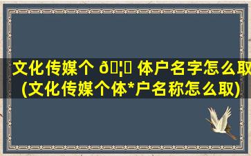 文化传媒个 🦈 体户名字怎么取(文化传媒个体*
户名称怎么取)